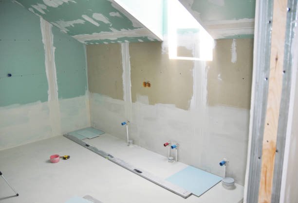 Best Black Mold Removal  in Chicago, IL