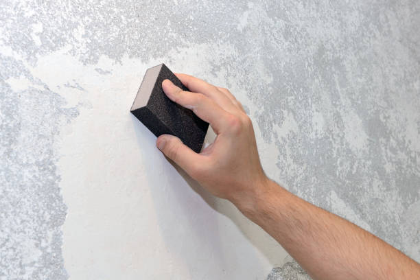 Best Asbestos and Lead Testing During Mold Inspection  in Chicago, IL
