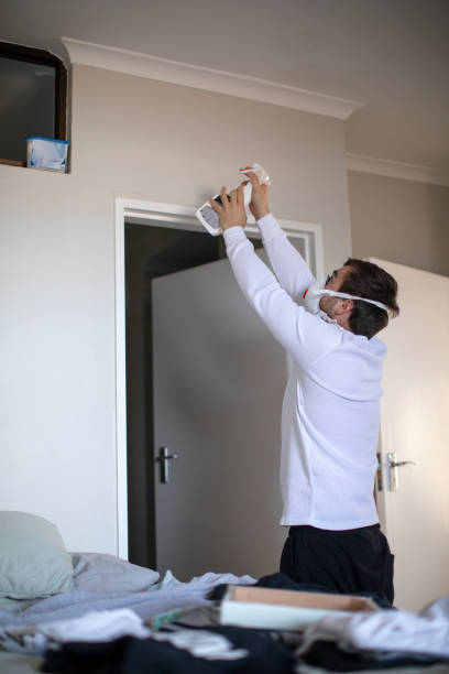 Mold Remediation for Rental Properties in Chicago, IL
