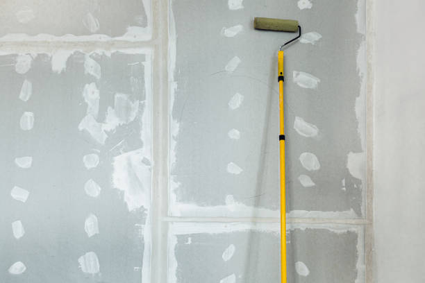Best Real Estate Mold Inspection  in Chicago, IL