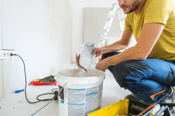 Best Basement Mold Removal  in Chicago, IL