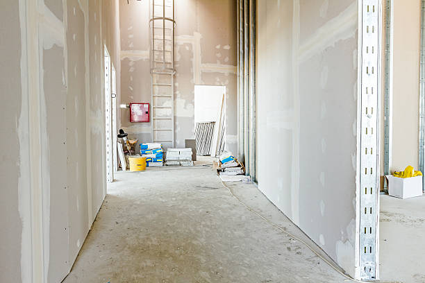 Best Emergency Mold Remediation  in Chicago, IL